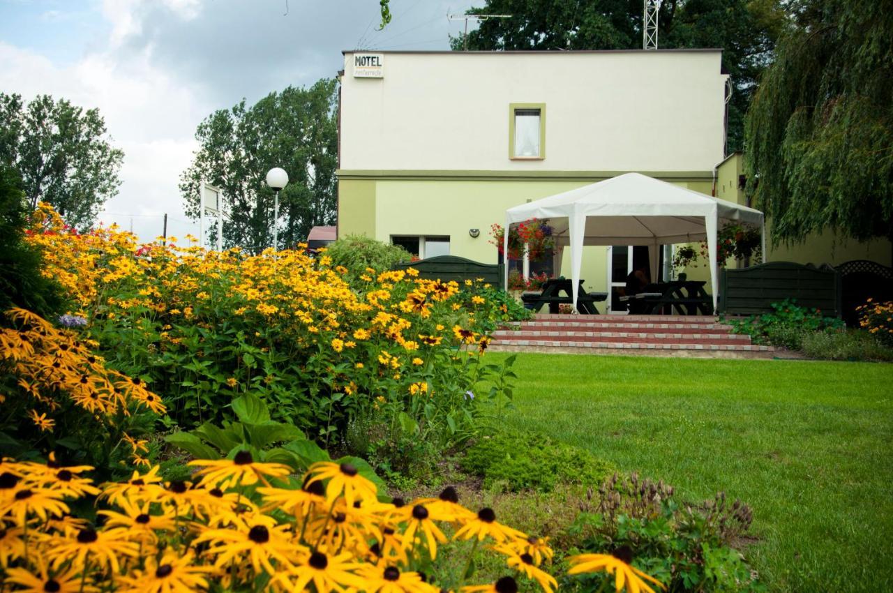 Ferrara B&B Noclegi Wagrowiec Exterior photo